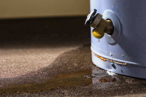 Best Water damage restoration mold remediation  in Canyon Day, AZ