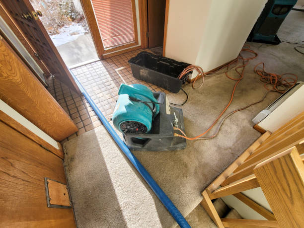 Reliable Canyon Day, AZ Water damage restoration Solutions