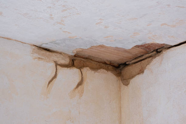 Best Flood damage cleanup  in Canyon Day, AZ
