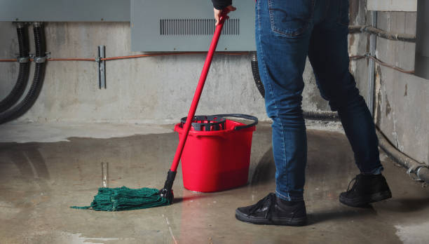  Canyon Day, AZ Water damage restoration Pros