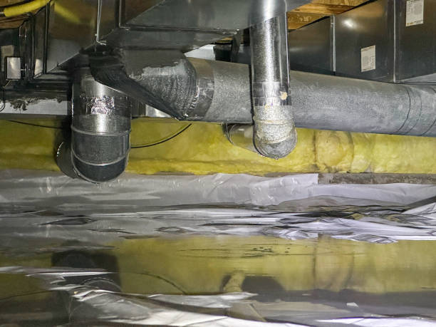 Best Basement water damage restoration  in Canyon Day, AZ