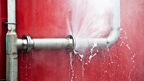 Carpet water damage restoration in Canyon Day, AZ